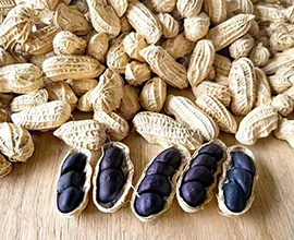 富硒花生如何施肥？富硒花生施肥管理方案